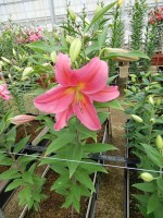 [5631 VH61 No01.JPG]